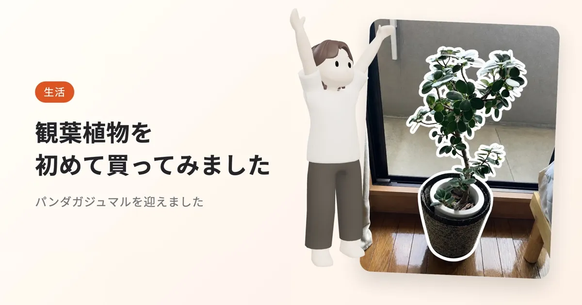 観葉植物を初めて買ってみました